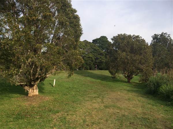 Centennial Park (25/06/2014)