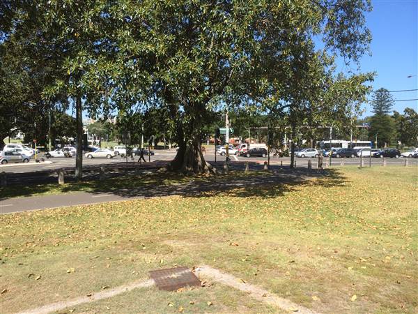 Centennial Park (25/06/2014)