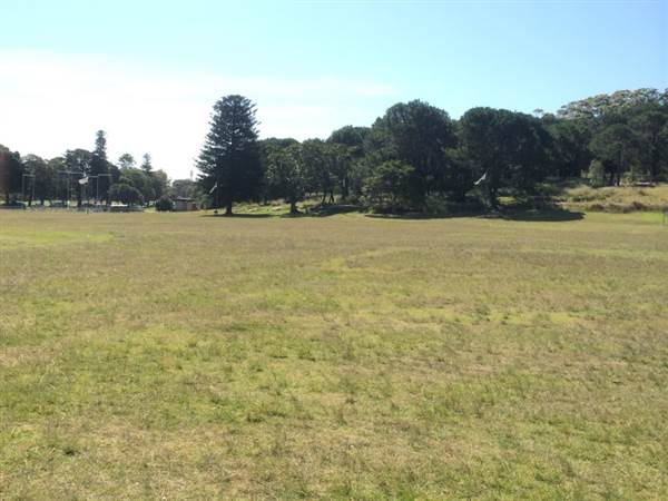 Centennial Park (25/06/2014)