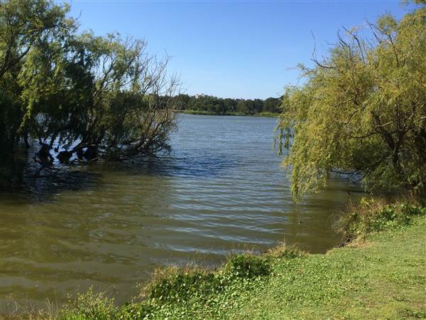 Centennial Park (25/06/2014)
