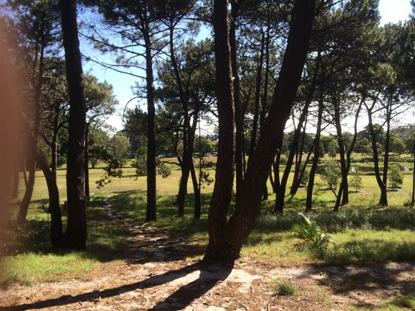 Centennial Park (25/06/2014)