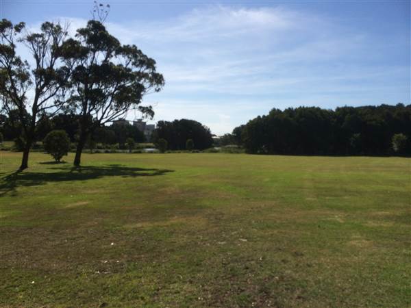 Centennial Park (26/06/2014)