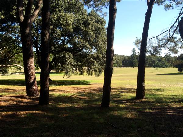Centennial Park (26/06/2014)