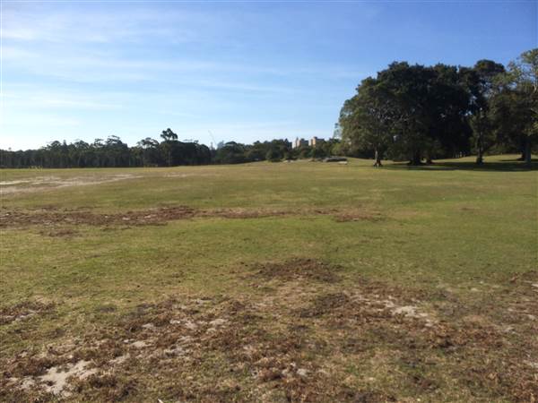 Centennial Park (26/06/2014)