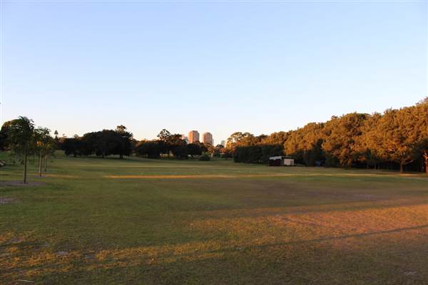 Centennial Park - Loch Ave South (7/07/2014)
