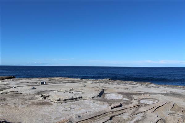 Clovelly Beach (7/07/2014)