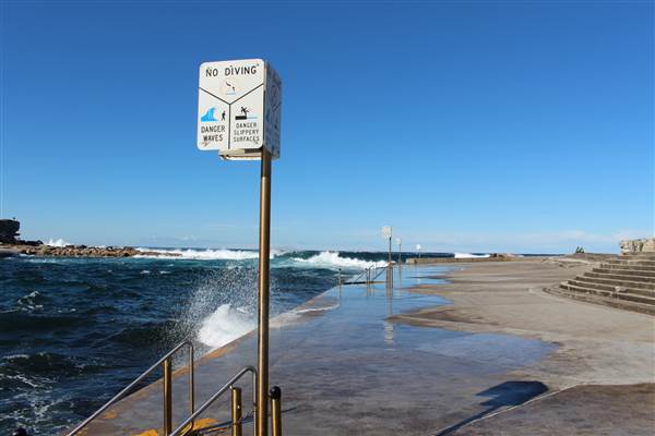 Clovelly Beach (7/07/2014)