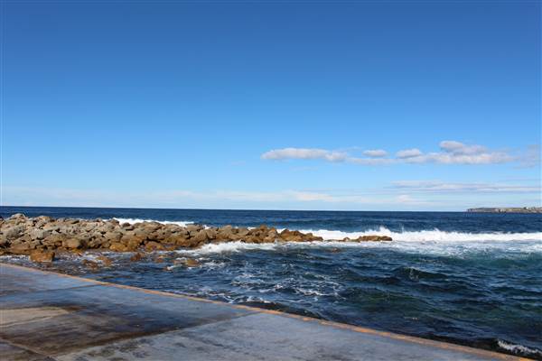 Clovelly Beach (7/07/2014)
