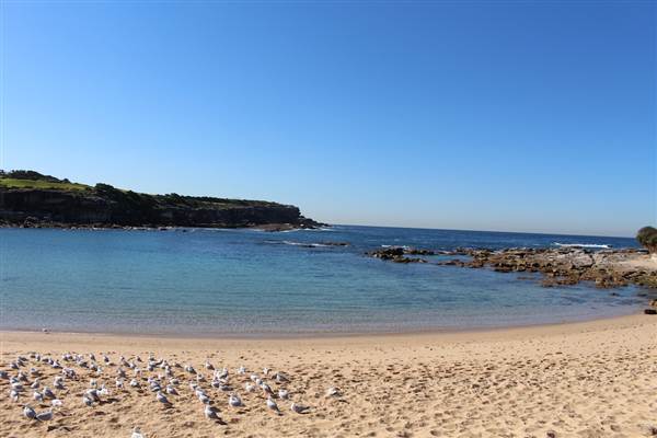 Little Bay (8/07/2014 - Credits: Jeremy Peek)
