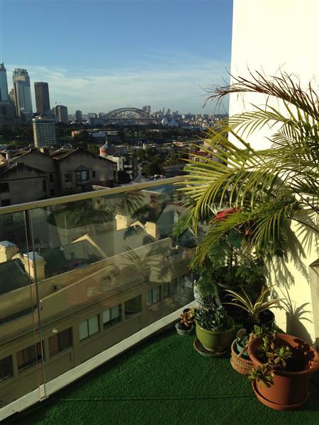 Top of the Town (11/12/2013 - Credits: Ryan Hua and Peter Watson)