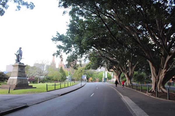 The Domain - Royal Botanic Garden Sydney (24/10/2014)