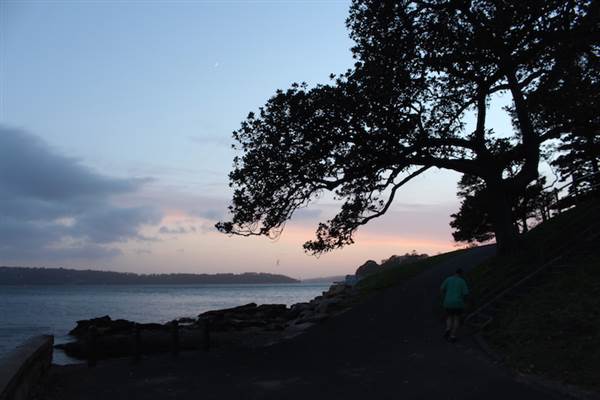 Mrs. Macquarie's Point - Royal Botanic Garden Sydney (24/10/2014)