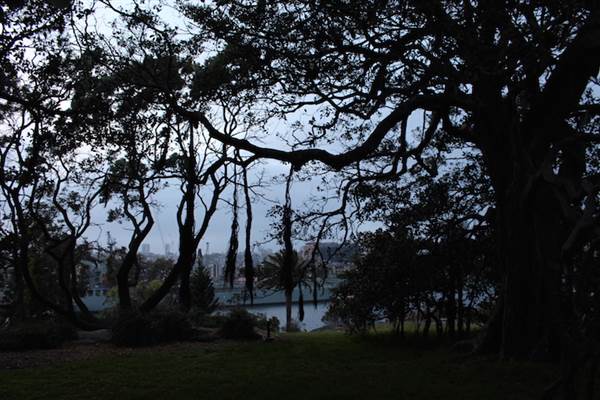 Mrs. Macquarie's Point - Royal Botanic Garden Sydney (24/10/2014)