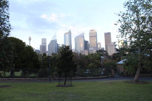 Mrs. Macquarie's Point - Royal Botanic Garden Sydney (24/10/2014)