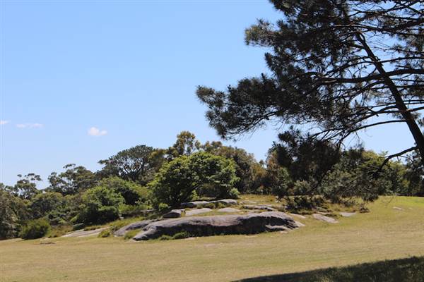Centennial Park - Brazilian Fields (24/10/2014)
