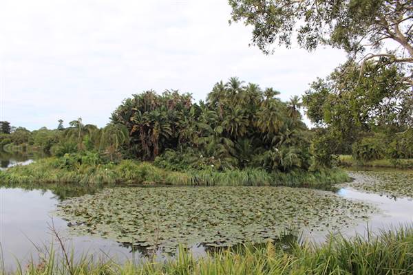 Centennial Park - Church Grounds (24/10/2014)