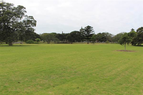 Centennial Park - Church Grounds (24/10/2014)