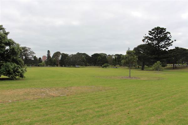 Centennial Park - Church Grounds (24/10/2014)