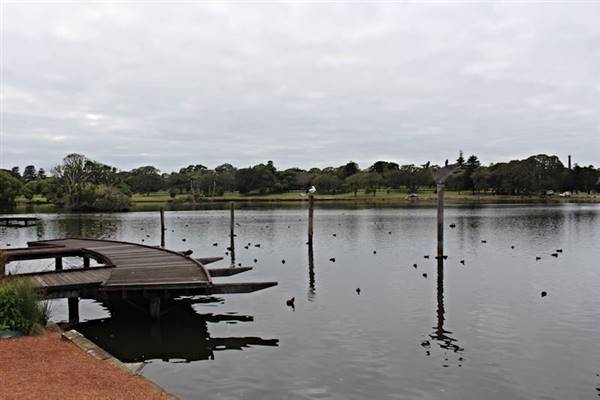 Centennial Park - Duck Pond (24/10/2014)