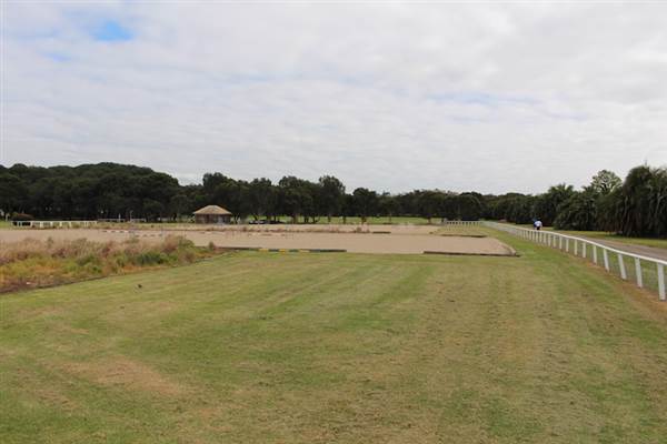 Centennial Park - Equestrian Grounds (24/10/2014)