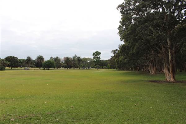 Centennial Park - Lachlan Reserve (24/10/2014)