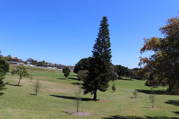Centennial Park - Queens Park (24/10/2014)