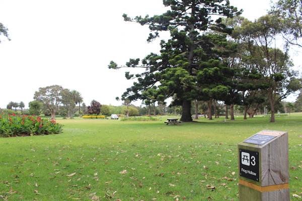 Centennial Park - Frog Hollow (24/10/2014)