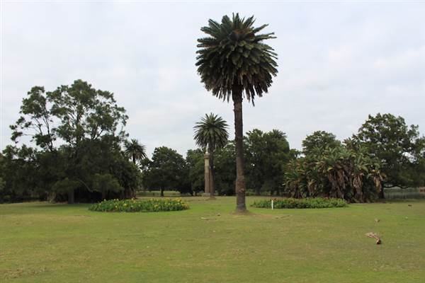 Centennial Park - Frog Hollow (24/10/2014)
