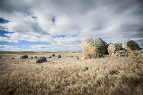 Monaro Plains (14/11/2014 - Credits: Colin McDougall)