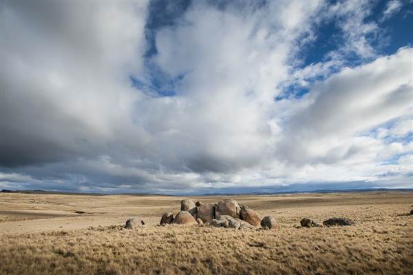 Monaro Plains (14/11/2014 - Credits: Colin McDougall)