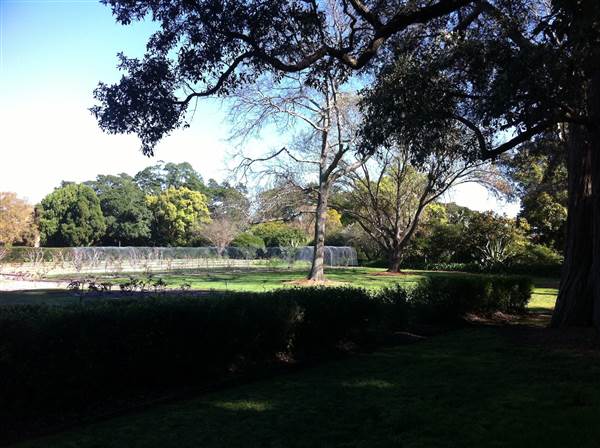 Dame Edith Hospital Grounds (24/02/2015 - Credits: Phillip Roope)