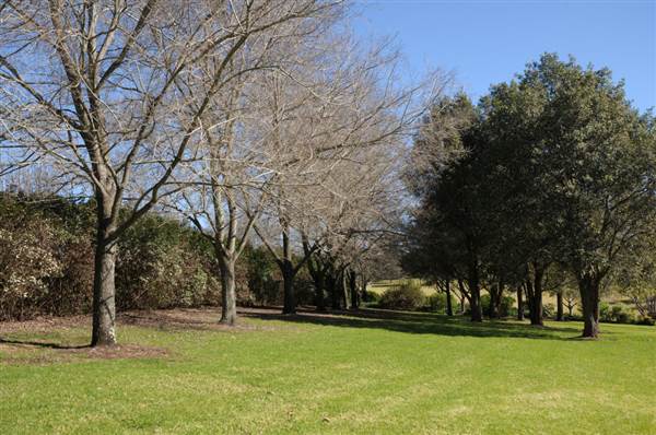 Fagan Park (24/02/2015 - Credits: Phillip Roope)
