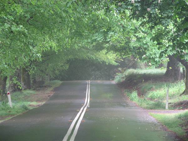 Mount Wilson Roads (24/02/2015 - Credits: Phillip Roope)