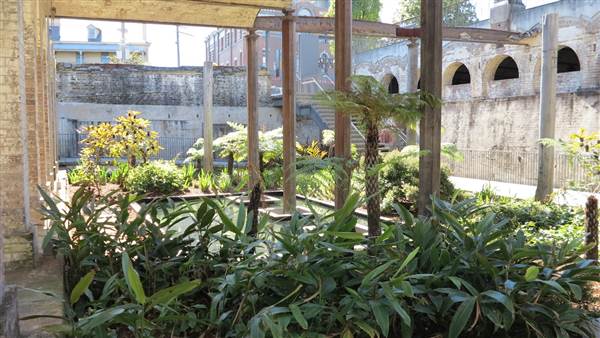 Paddington Reservoir Gardens (24/02/2015 - Credits: Phillip Roope)
