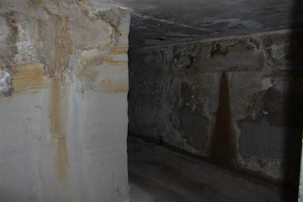 Middle Head Fortifications (13/03/2015)