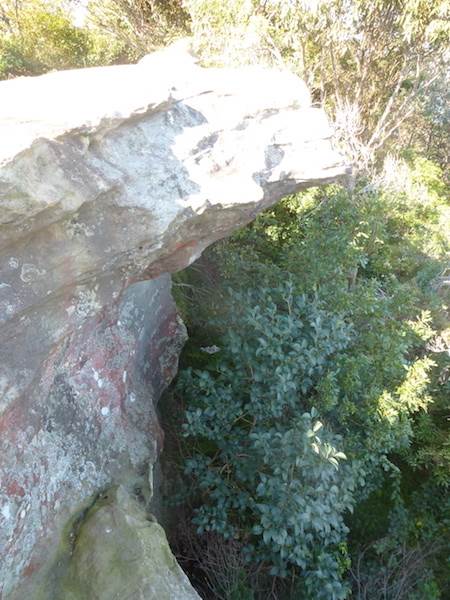 Middle Head Fortifications (13/03/2015)