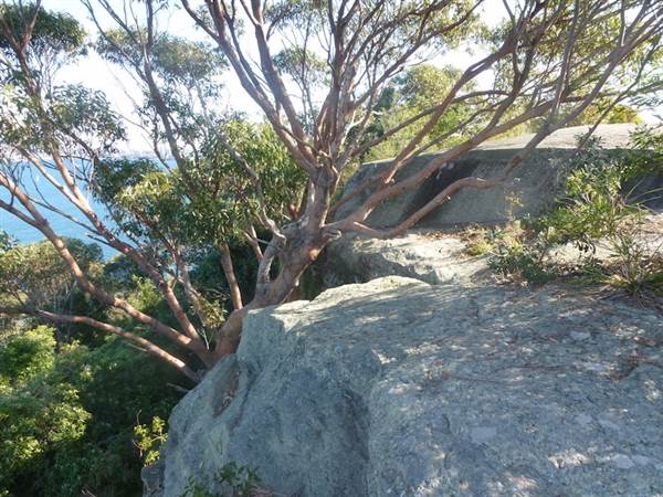 Middle Head Fortifications (13/03/2015)