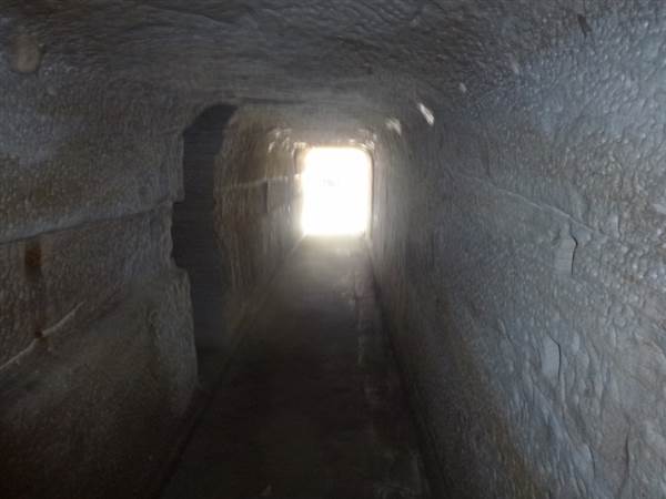 Middle Head Fortifications (13/03/2015)