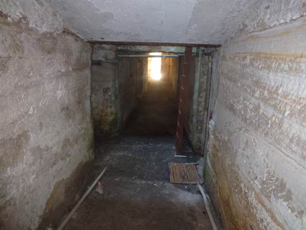 Middle Head Fortifications (13/03/2015)