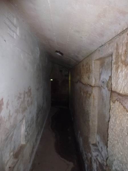 Middle Head Fortifications (13/03/2015)
