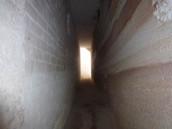 Middle Head Fortifications (13/03/2015)