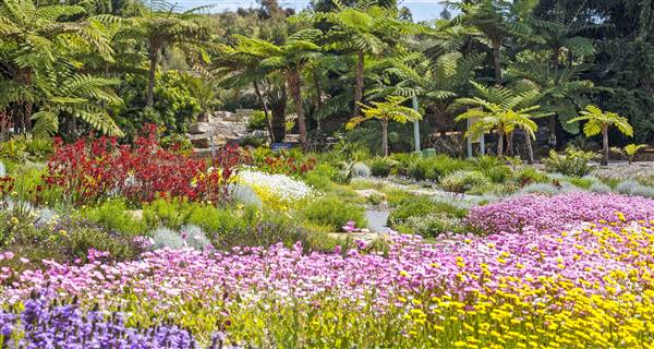 The Australian Botanic Garden Mount Annan (10/04/2015)