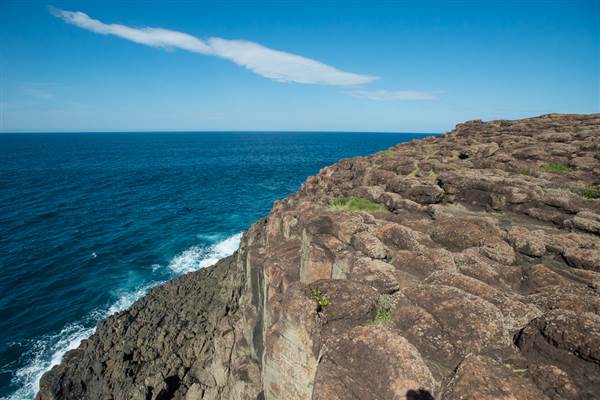 Bombo Headland Quarry (30/04/2015 - Credits: Colin McDougall)