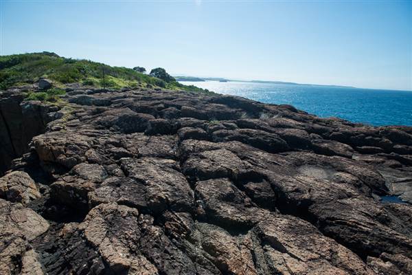 Bombo Headland Quarry (30/04/2015 - Credits: Colin McDougall)