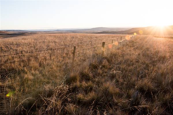 Monaro Plains (20/06/2015 - Credits: Colin McDougall)