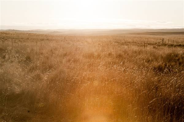 Monaro Plains (20/06/2015 - Credits: Colin McDougall)