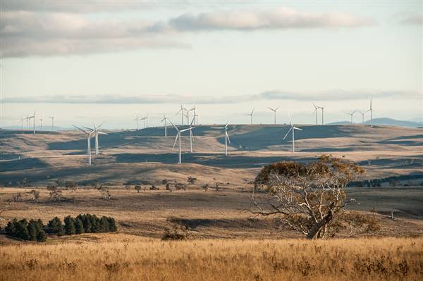 Boco Rock Wind Farm (24/07/2015)