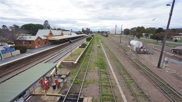 Cootamundra (3/08/2015 - Credits: Mary Barltrop)