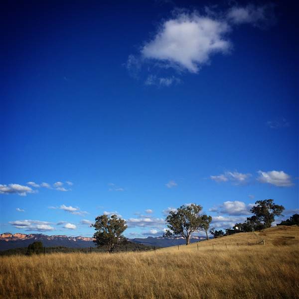 Snow Goose Farm - Glen Alice (8/11/2015)