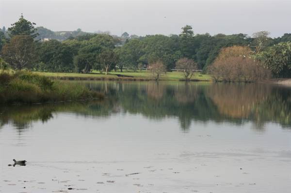 Centennial Park (28/11/2013)